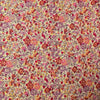 Initial Cushion | Liberty