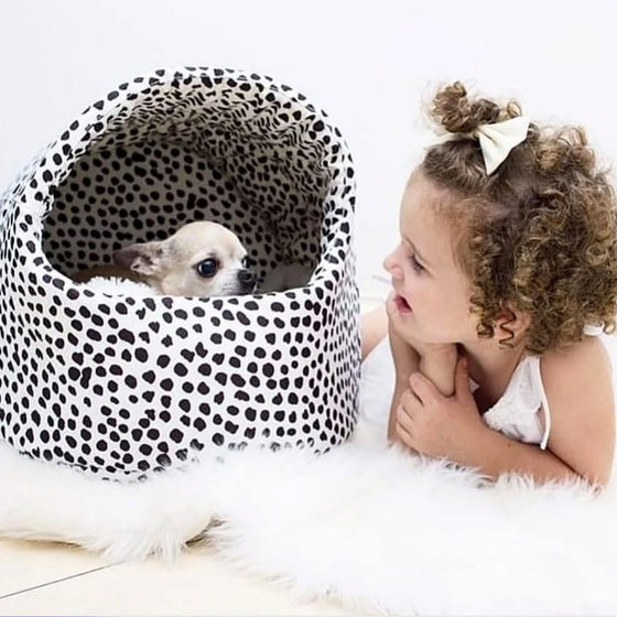Furbaby Nest | Dalmatian