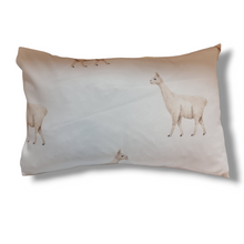  Scatter Cushion | Baba-Llama