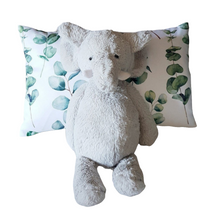  Scatter Cushion | Eucalyptus